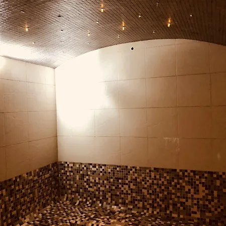 公寓式酒店 丽晶图维斯卡斯公寓加套房 阿德耶