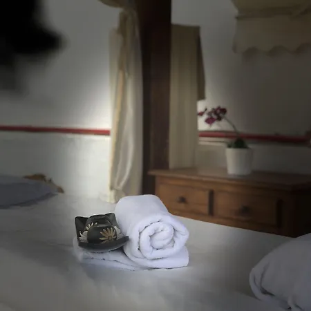 丽晶图维斯卡斯公寓加套房 3*