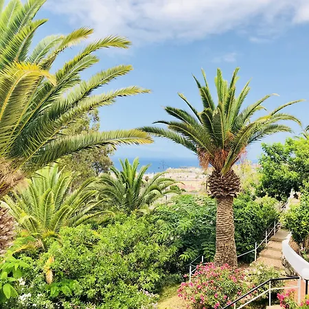 丽晶图维斯卡斯公寓加套房 阿德耶