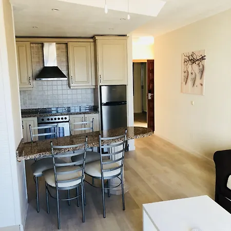 丽晶图维斯卡斯公寓加套房 阿德耶