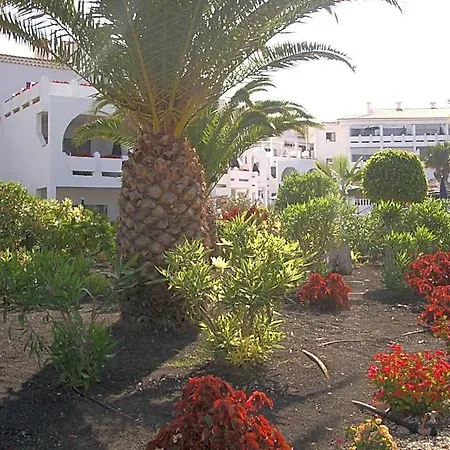Regency Torviscas And 3* Costa Adeje (Tenerife)
